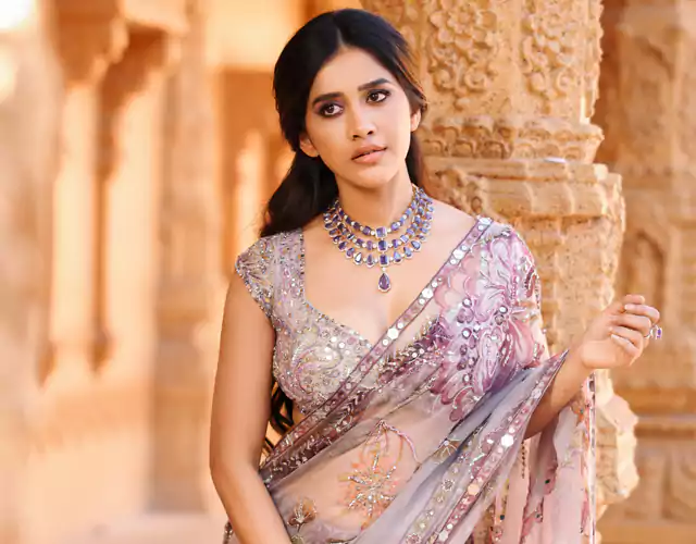 Heroine Nabha Natesh New Pics